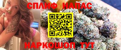молекула духа Гай