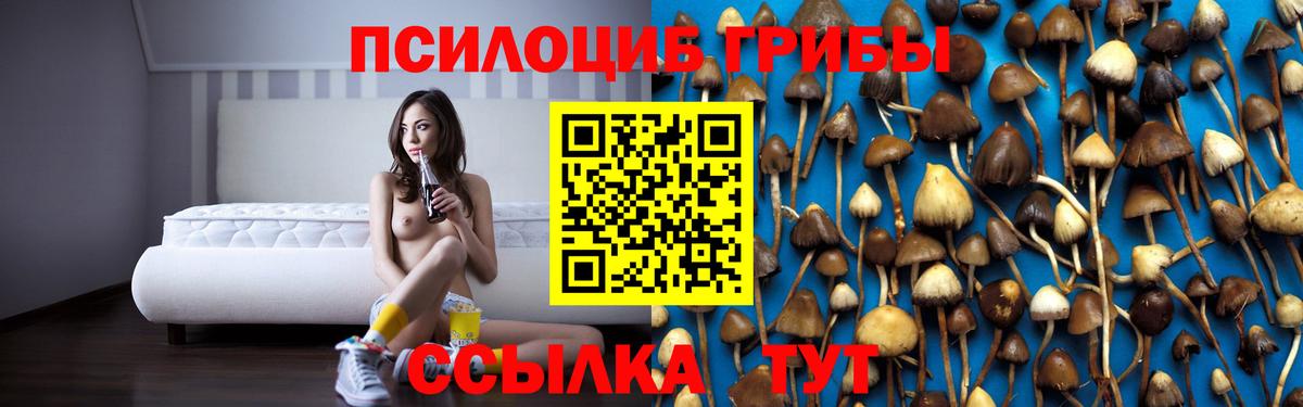Галлюциногенные грибы мицелий Карасук